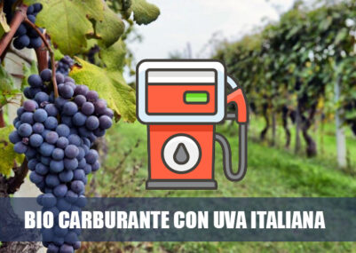 biocarburante-con-uva-prodotta-in-italia
