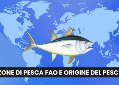 zone-di-pesca-FAO-da-dove-proviene-il-pesce-comprato